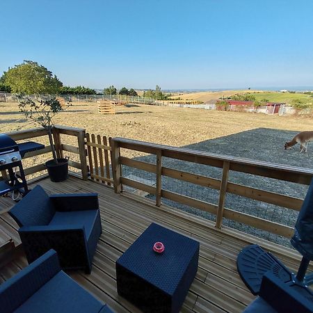 Villa Tiny House Des Bougnats Teilhede Esterno foto