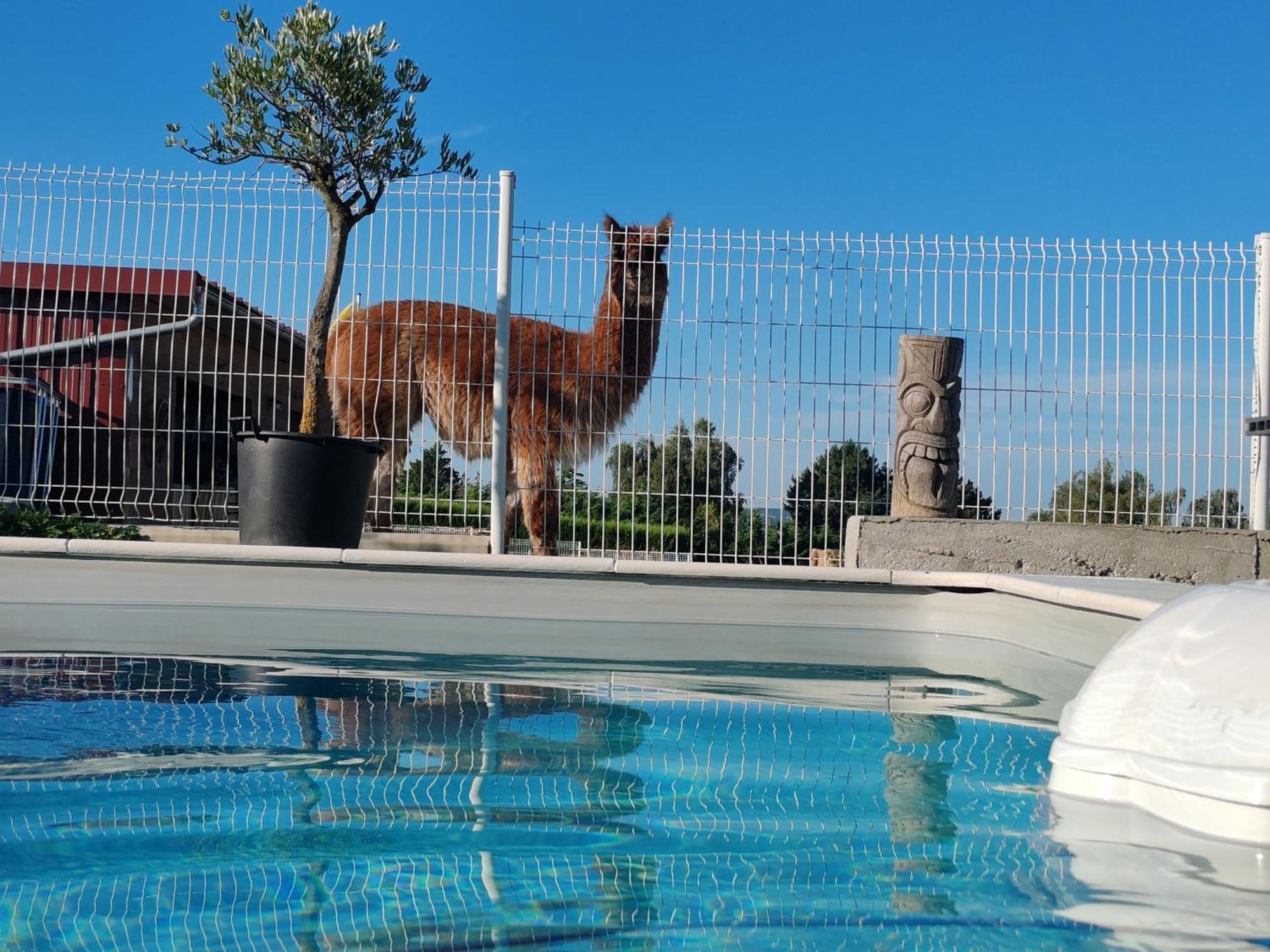 Villa Tiny House Des Bougnats Teilhede Esterno foto